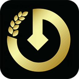 金谷粒 1.0 安卓版