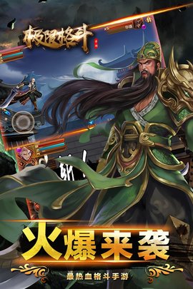 极限格斗 V1.0.0 安卓版截图1