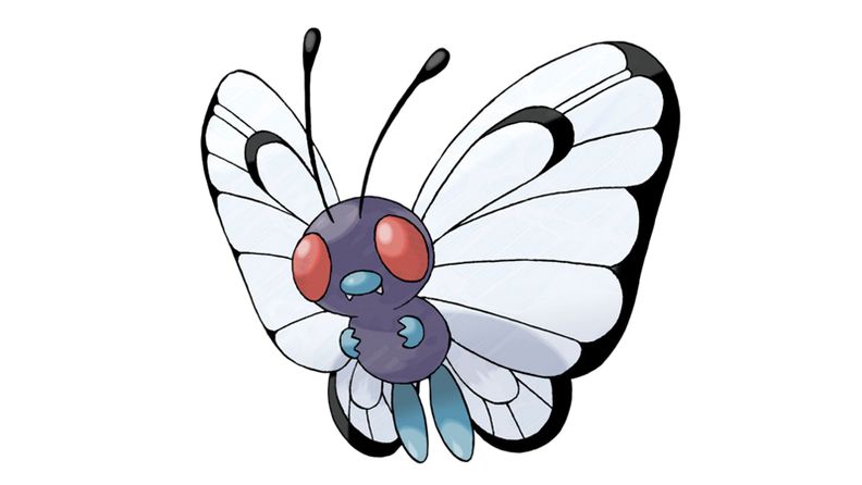 《宝可梦：剑/盾》图鉴介绍之巴大蝶