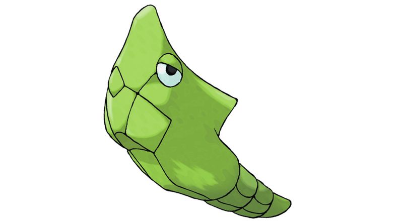 《宝可梦：剑/盾》图鉴介绍之绿毛虫