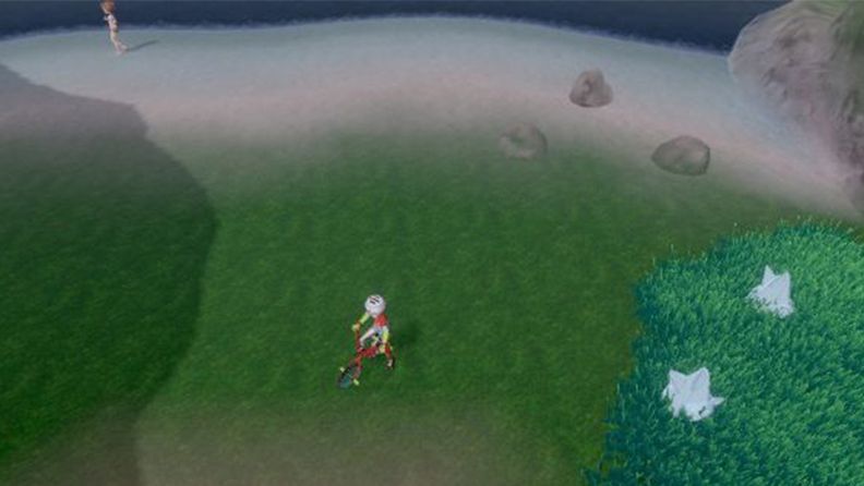 《宝可梦：剑/盾》9号道路树果树详解