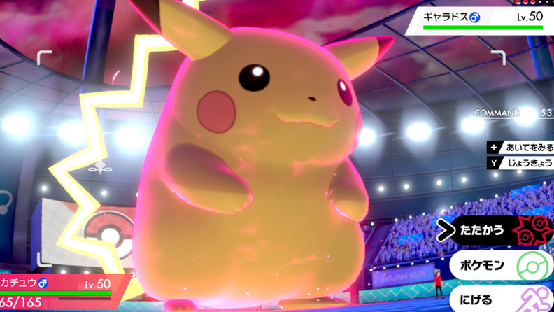 《宝可梦：剑/盾》精灵球获取位置详解