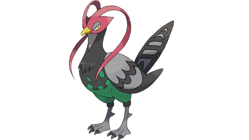 《宝可梦：剑/盾》图鉴详解之高傲雉鸡