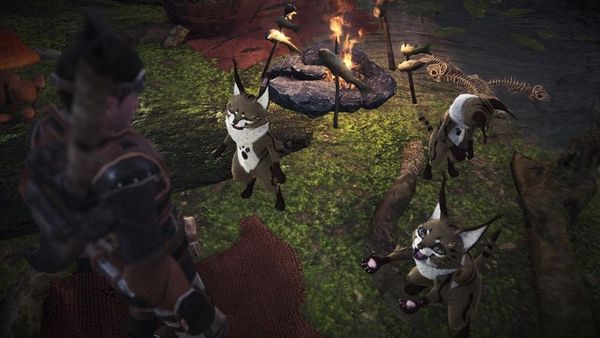 《怪物猎人世界 Iceborne》全宝物收集详解 冰原地图宝物攻略