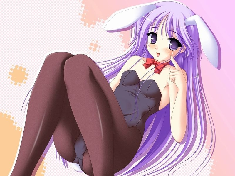 穿越寻宝记第十一关怎么打？比武大会通关详解