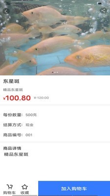 及时鲜海鲜商城 1.0截图5