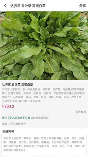 开心农牧场截图4