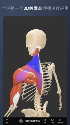 维萨里3D解剖截图5