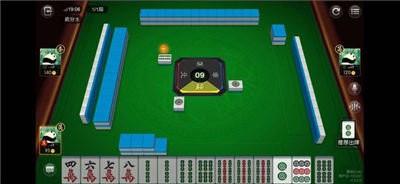 掌上乐清麻将下载-掌上乐清麻将安卓版下载截图3
