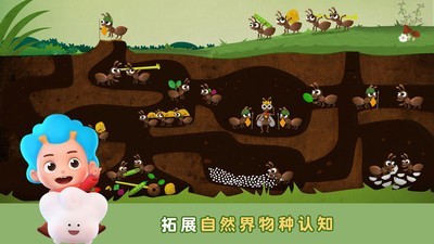 东东龙昆虫世界截图4 东东龙昆虫世界截图4