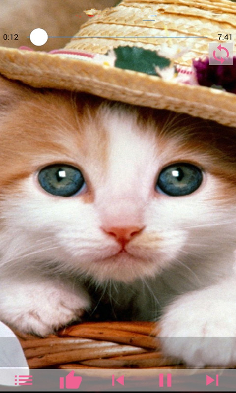 上海保交所截图1 上海保交所截图1