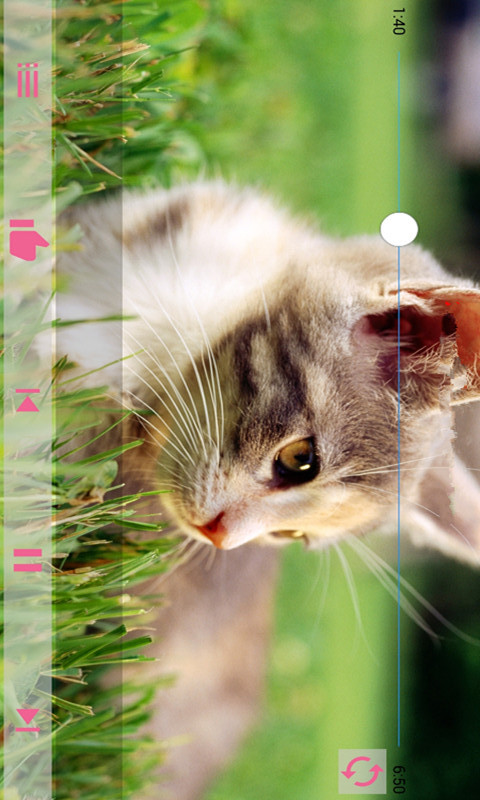 上海保交所截图3 上海保交所截图3