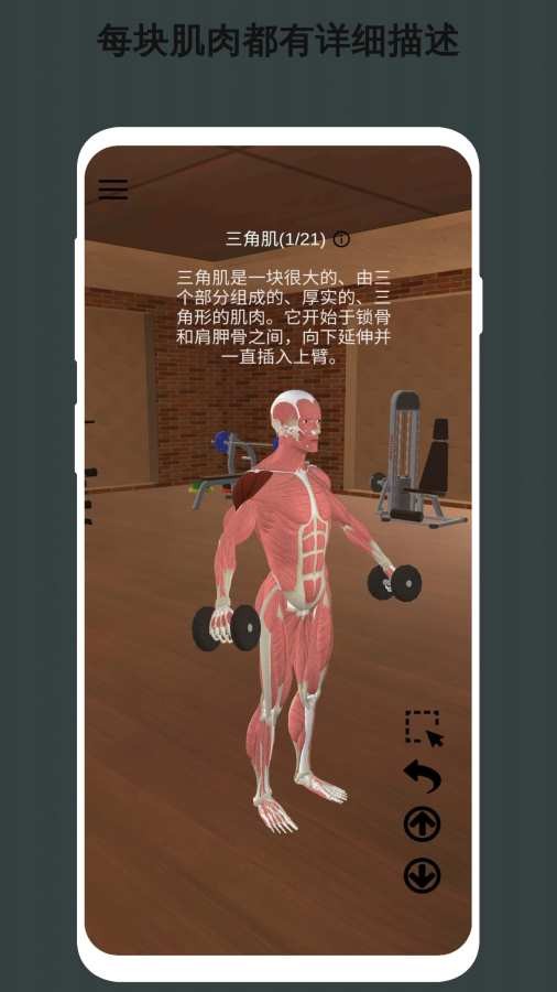 3D健身指南截图3 3D健身指南截图3