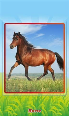 探索动物 1.31截图2 探索动物 1.31截图2