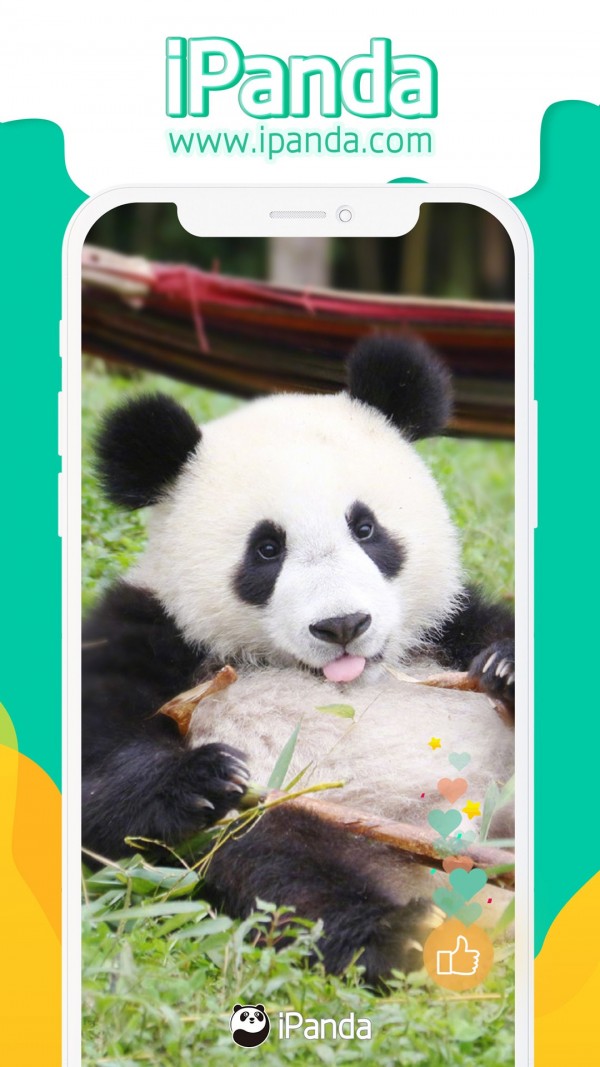 iPanda截图2 iPanda截图2