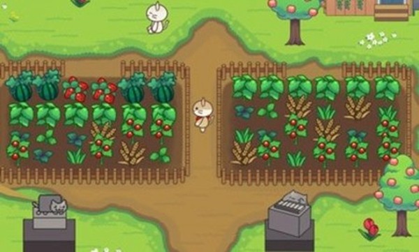 猫咪露营地 1.9截图3 猫咪露营地 1.9截图3