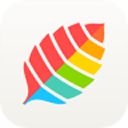 薄荷健康 7.6.5.1