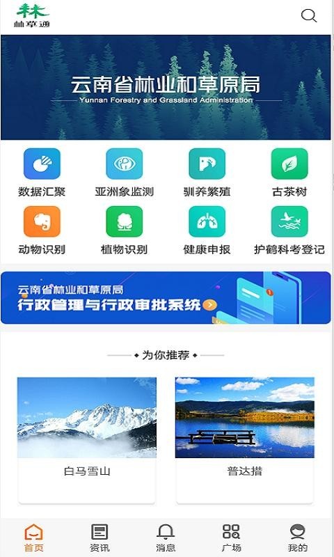 林草通截图3