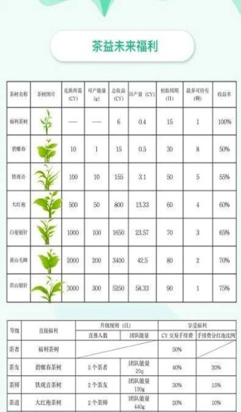 茶益未来 1.0.5截图4