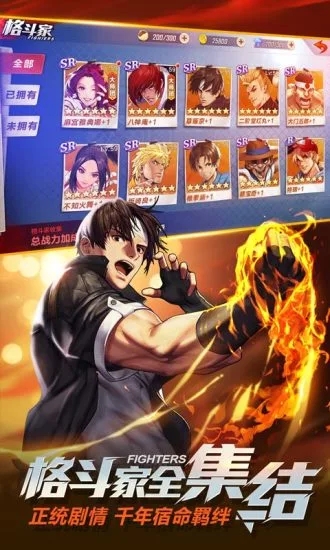 拳皇命运手游小米版截图3