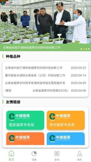 看叶识熟 4.1截图1