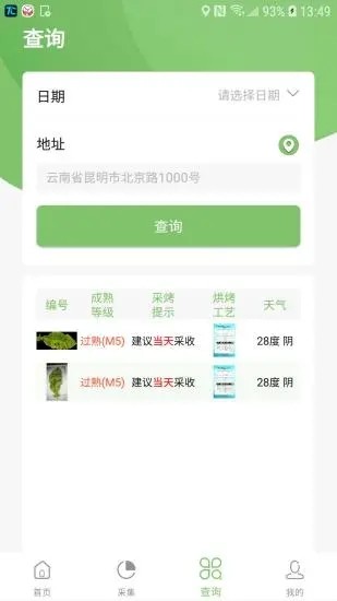 看叶识熟 4.1截图4