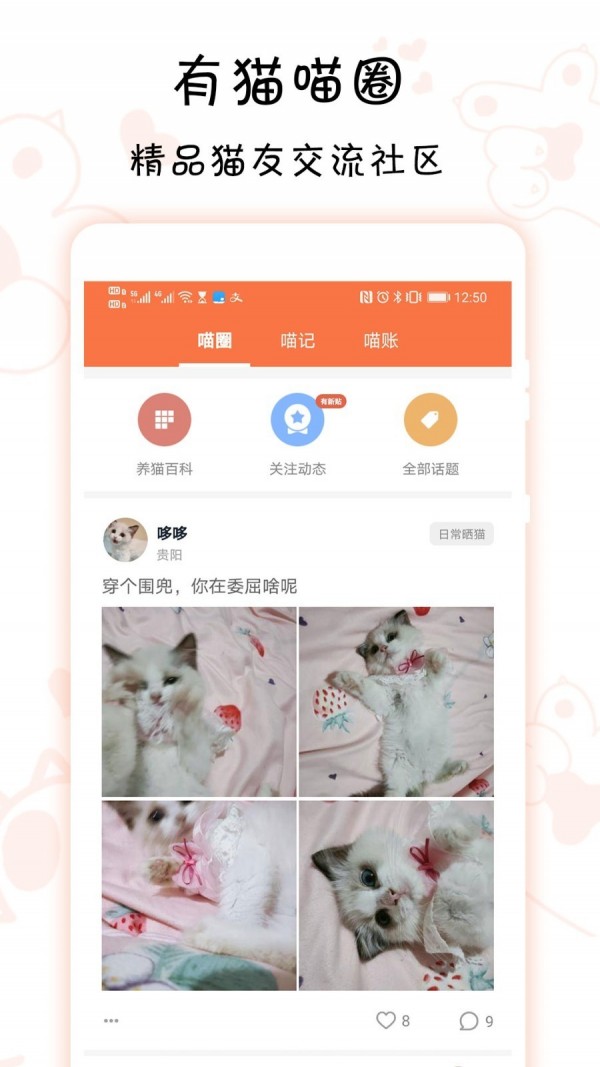 有猫 2.3.3截图3
