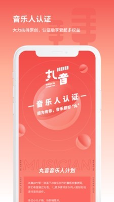 丸音截图5