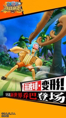 航海王激战礼包 1.11.0.253878截图4 航海王激战礼包 1.11.0.253878截图4