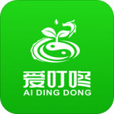 爱叮咚 2.9.21
