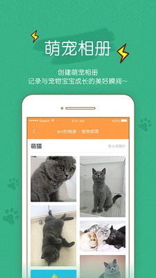 宠物部落 宠物部落