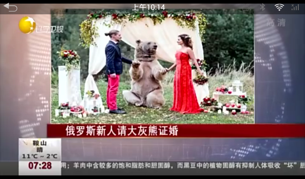 PP视频车机版 v4.1.3 安卓版截图3