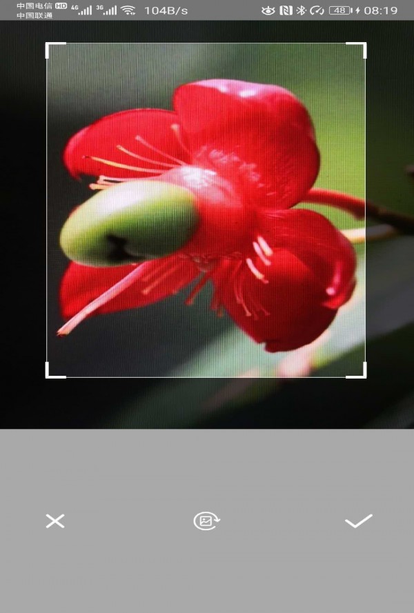 万能拍照识别 2.1截图3