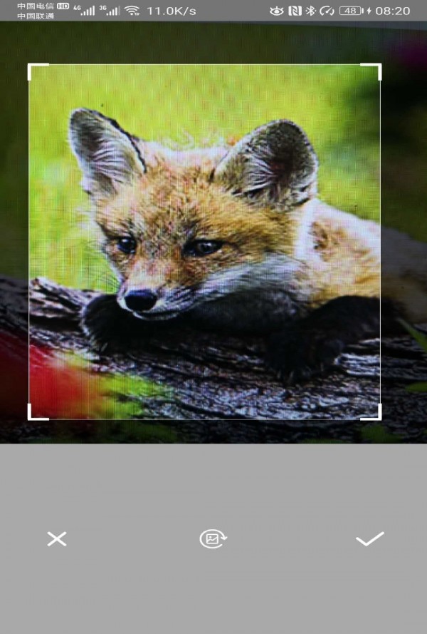 万能拍照识别 2.1截图5