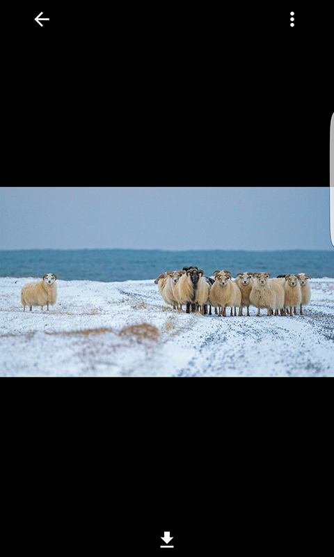 Bing美图 2.0.2截图3 Bing美图 2.0.2截图3