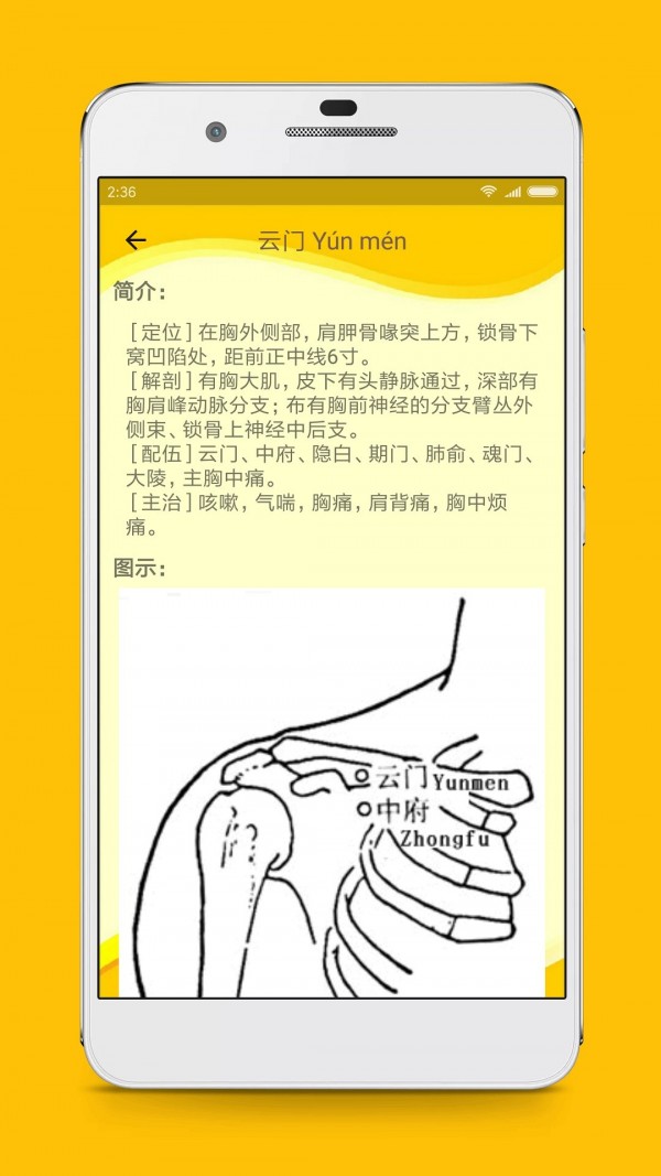 人体穴位图解截图3