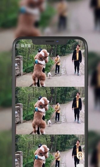 嗨皮猫短视频截图1