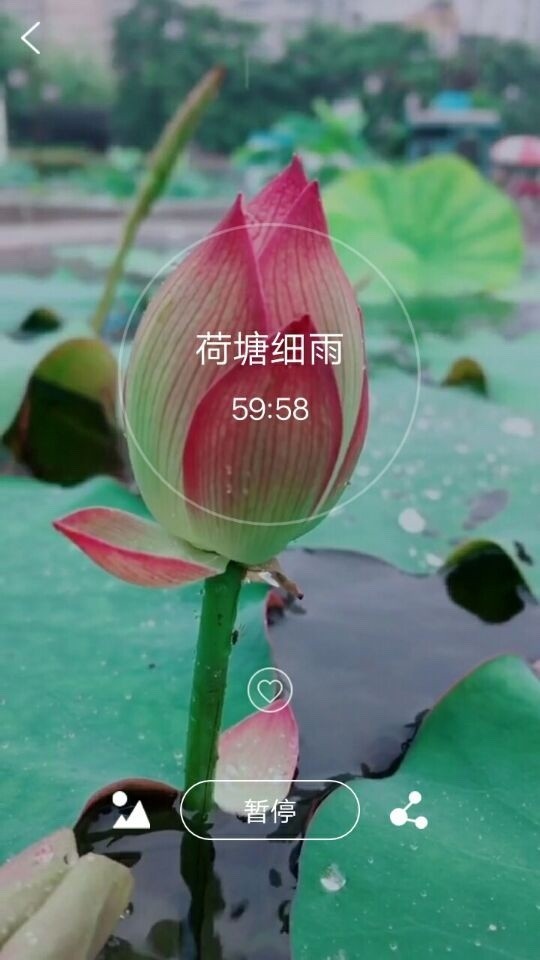 爱武艺 6.00.1截图5