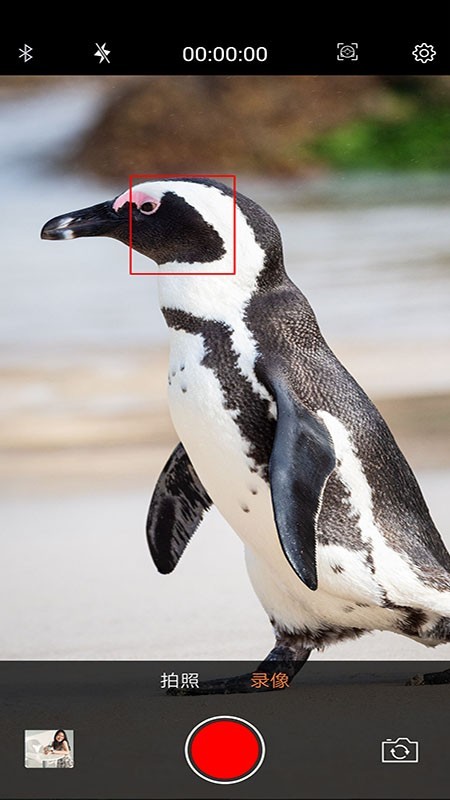 爱随拍 4.0.1截图3