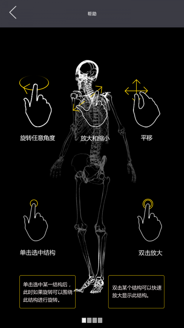 3Dbody解剖 8.2.5截图1