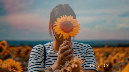 KD Pro 2.10.1截图1