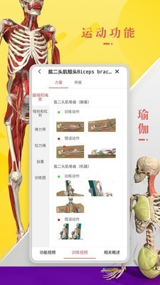 3Dbody解剖 8.3.2截图1