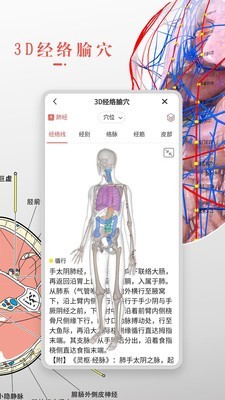 3Dbody解剖 8.3.2截图2