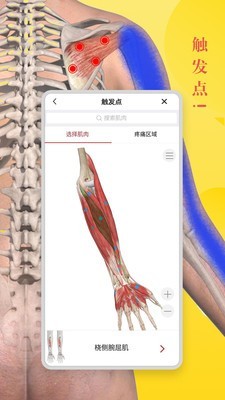 3Dbody解剖 8.3.2截图3