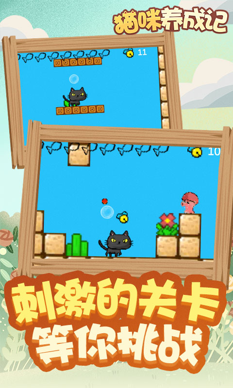 猫咪养成记截图1 猫咪养成记截图1