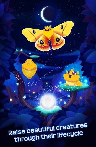 蝴蝶之星夜 1.611截图1