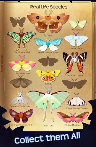 蝴蝶之星夜 1.611截图4