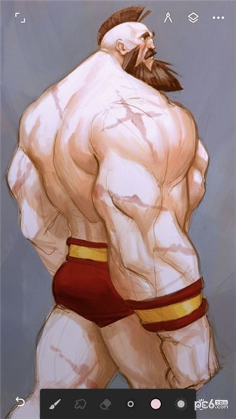 Painter 6.1.5截图1