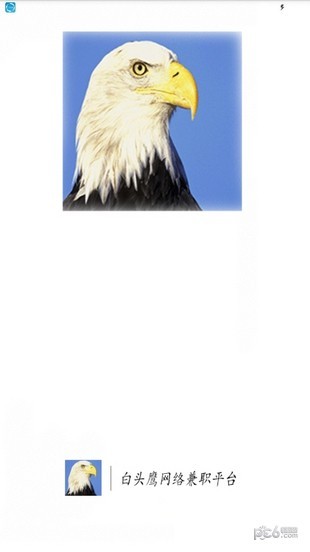 白头鹰网络兼职截图1