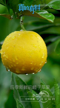 真的有料 2.1.6截图1